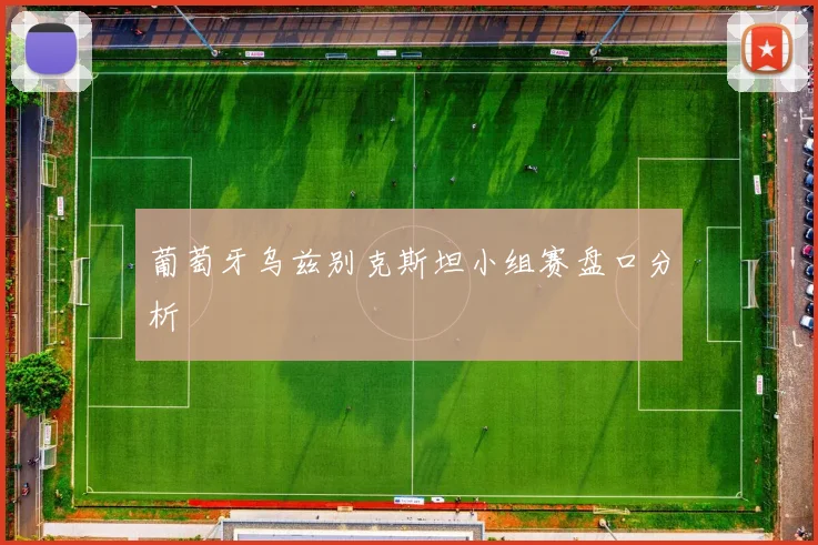 葡萄牙乌兹别克斯坦小组赛盘口分析