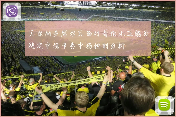 贝尔纳多席尔瓦面对哥伦比亚能否稳定中场节奏中场控制分析
