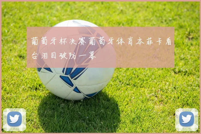 葡萄牙杯决赛葡萄牙体育本菲卡看台泪目破防一幕
