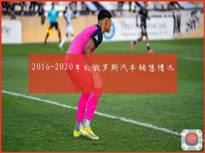 2016-2020年白俄罗斯汽车销售情况