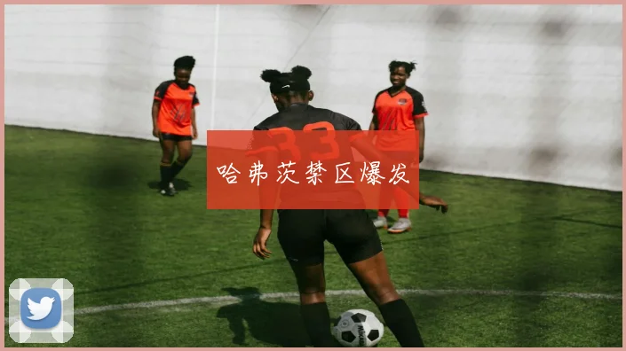 哈弗茨禁区爆发