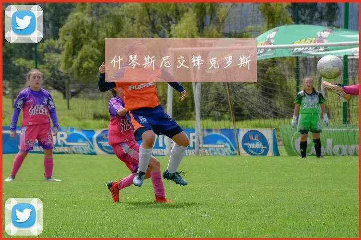 什琴斯尼交锋克罗斯
