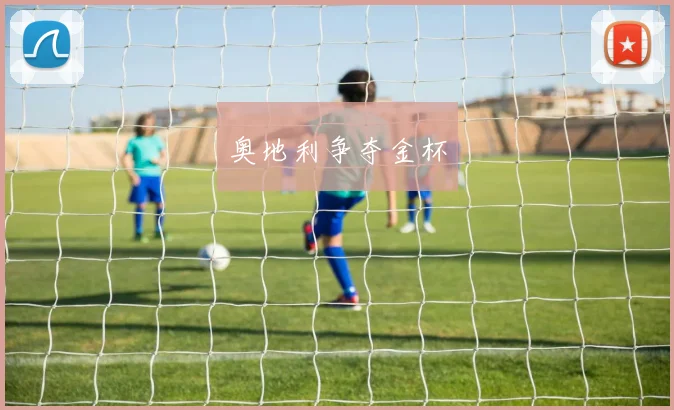 奥地利争夺金杯