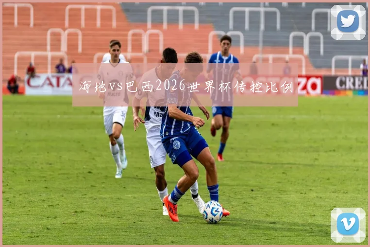 海地vs巴西2026世界杯传控比例
