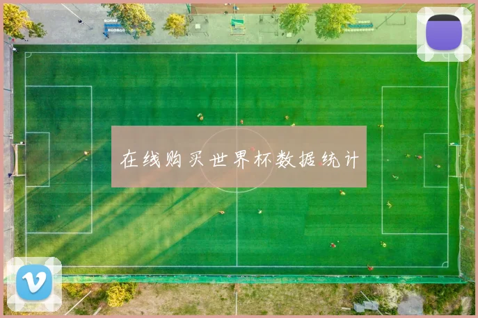在线购买世界杯数据统计