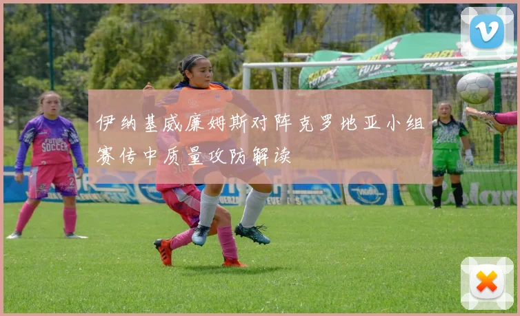 伊纳基威廉姆斯对阵克罗地亚小组赛传中质量攻防解读