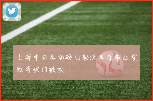 上海申花客场硬刚勒沃库森弗拉霍维奇破门被吹