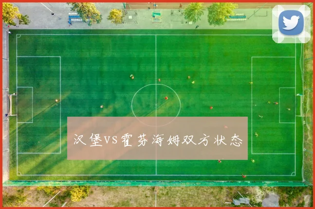 汉堡vs霍芬海姆双方状态