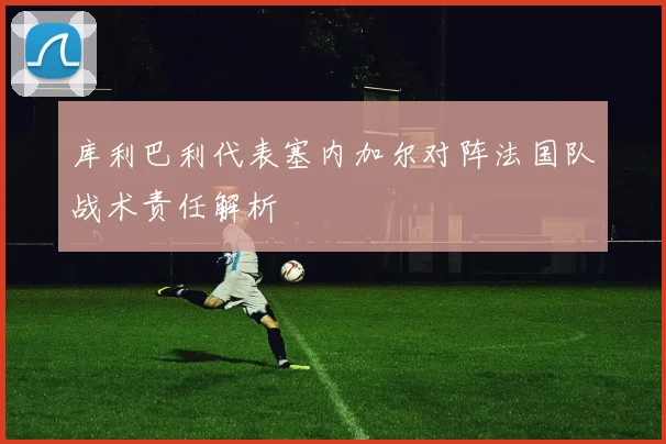 库利巴利代表塞内加尔对阵法国队战术责任解析