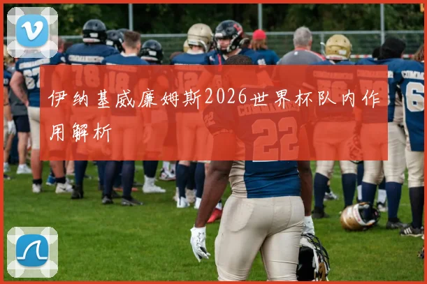 伊纳基威廉姆斯2026世界杯队内作用解析